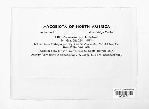 Coccospora agricola image